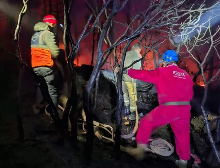 Gökçetepe–İbrice Limanı Bölgesindeki Yangına Destek çalışmasından görüntü 2