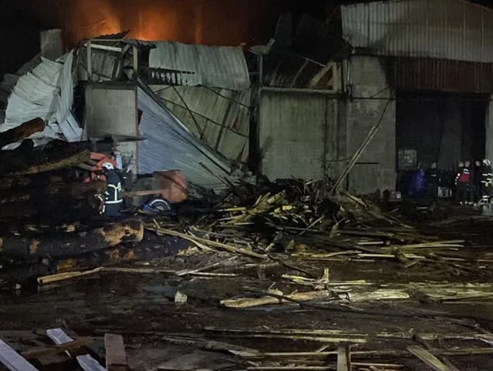 İpsala Paşaköy Kereste Fabrikası Yangını çalışmasından görüntü 2