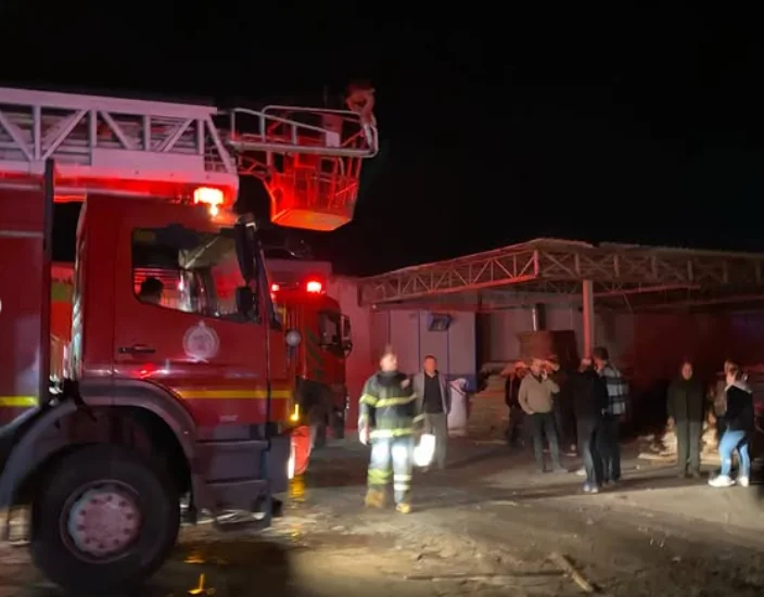 İpsala Paşaköy Kereste Fabrikası Yangını çalışmasından görüntü 3